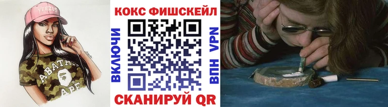 ОМГ ОМГ сайт  дарнет шоп  Новоалтайск  COCAIN Fish Scale 