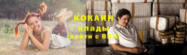 шишки Наволоки