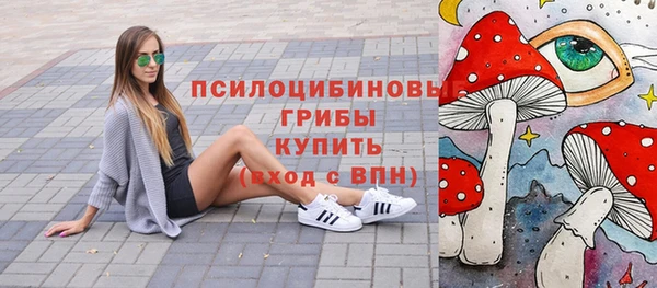 мдпв Нефтегорск