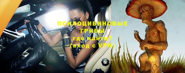 мдпв Нефтегорск