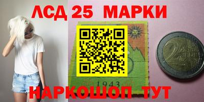 амф Гай