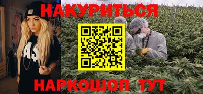 амф Гай