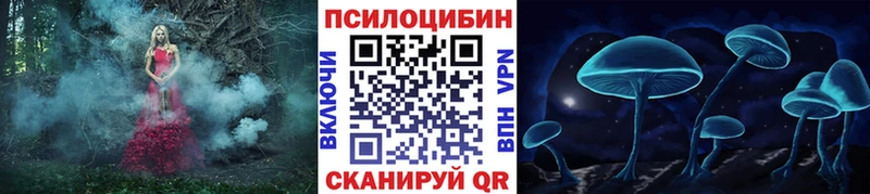 Галлюциногенные грибы Cubensis  MEGA tor  Новоалтайск 
