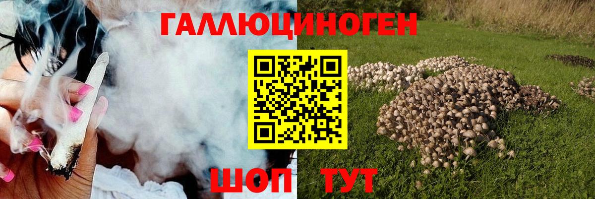 Псилоцибиновые грибы прущие грибы Новоалтайск